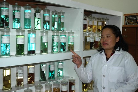 Aktifitas di laboratorium B2P2TO-OT